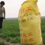 25kg lannan pakkauskone