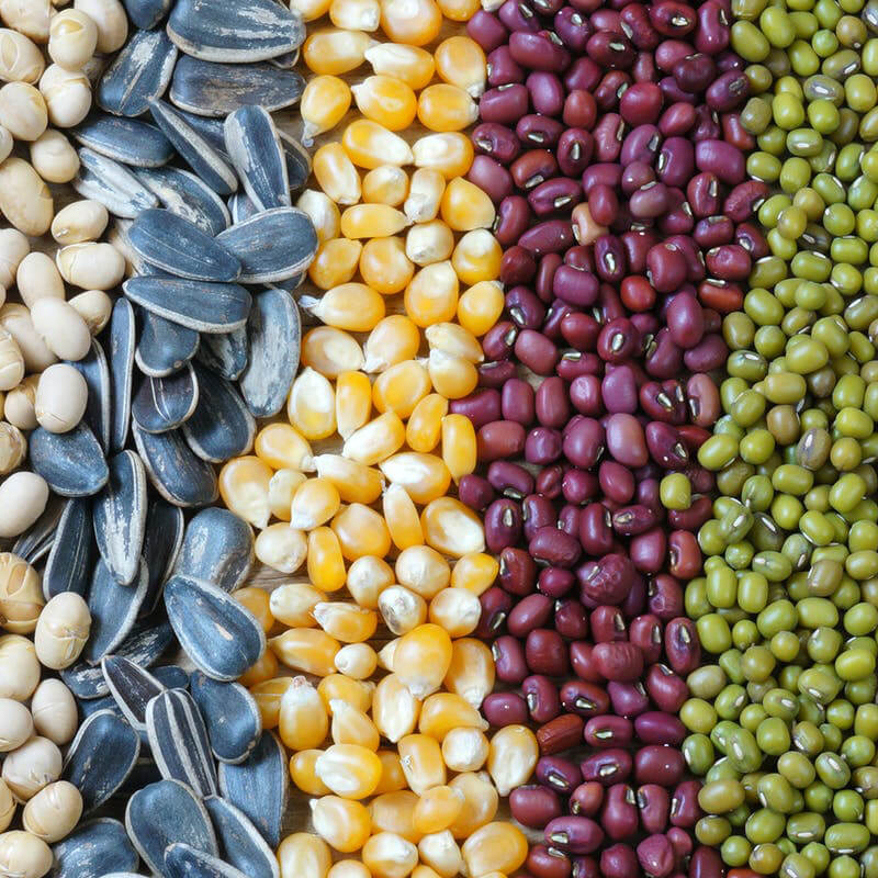 Automaattinen siementen pakkauskone